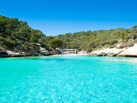 Cala Mago
