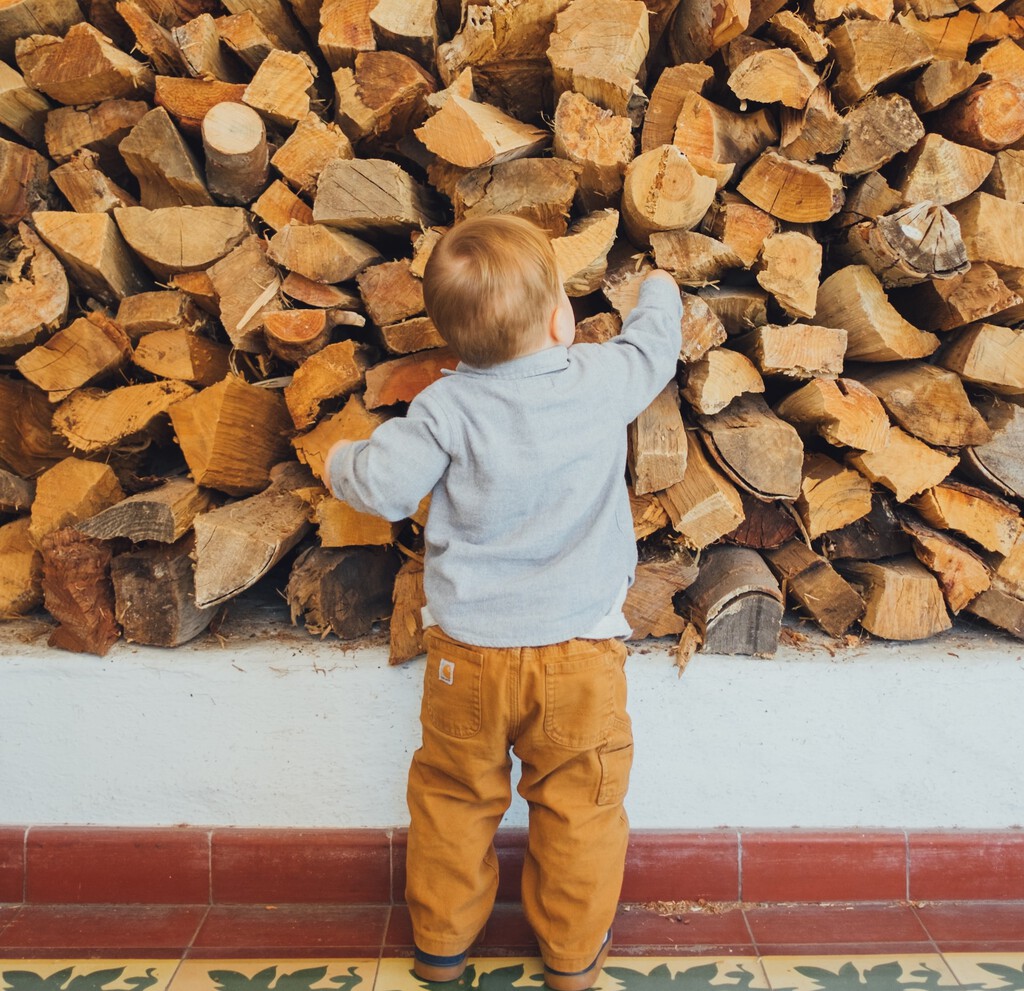Ahora es el mejor momento para comprar la leña del próximo invierno: estas son las principales ventajas si lo hacemos 