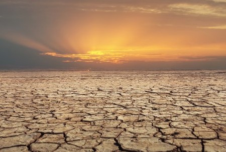 En 50 años, un tercio de los humanos podría vivir con temperaturas similares a las del Sahara
