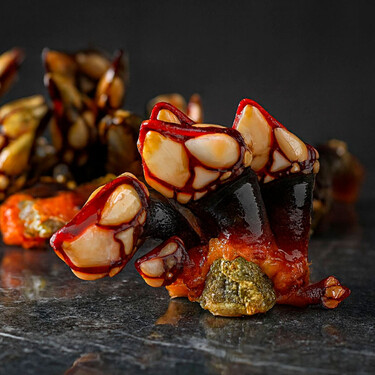 No es igual un percebe de sol que de sombra: por esto importa y por esto se distinguen