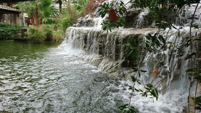 Foto de Xperia Z5 (8/20)