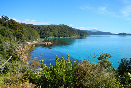 La tercera isla de Nueva Zelanda, Stewart Island