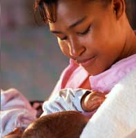 La desnutrición en el útero favorece la obesidad