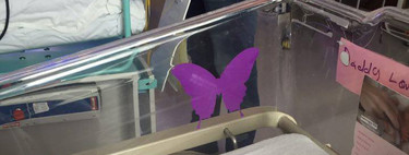 Ten cuidado con lo que dices cuando veas una mariposa lila en la cuna de un bebé