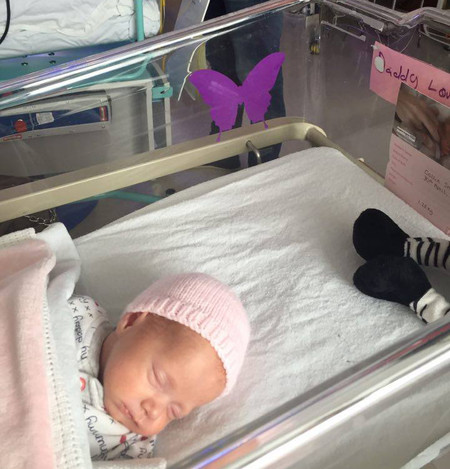 Ten cuidado con lo que dices cuando veas una mariposa lila en la cuna de un bebé