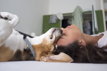 Cambiar Nombre Perro Pautas