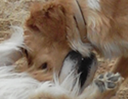 Wiko Darkfull photo examples