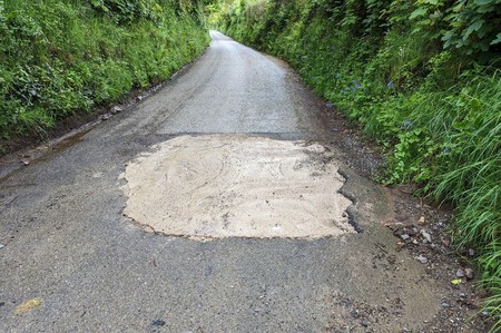 bache