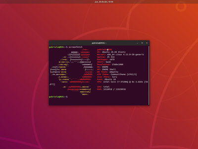 Estas son las características más comunes de los ordenadores que ejecutan Ubuntu en todo el mundo