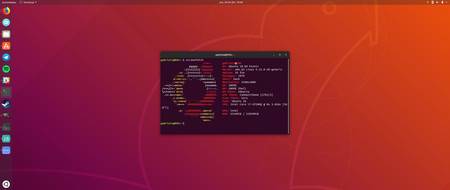 Estas son las características más comunes de los ordenadores que ejecutan Ubuntu en todo el mundo
