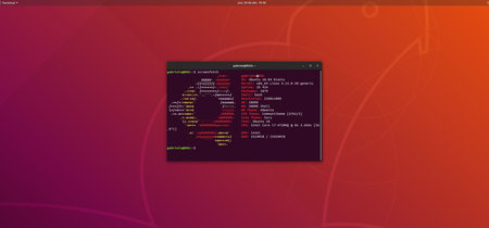 Estas son las características más comunes de los ordenadores que ejecutan Ubuntu en todo el mundo