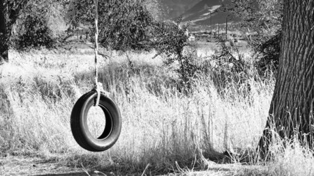 Que hacer con una cuerda, una moto y un árbol