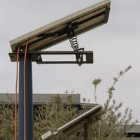 Han solucionado el mayor problema de las placas solares: lo han hecho mirando a los árboles