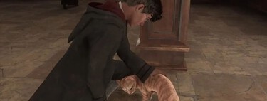 Los jugadores de Hogwarts Legacy encontraron un truco para torturar gatos. Los desarrolladores han tenido una idea genial para castigarlos 