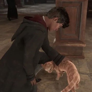 Los jugadores de Hogwarts Legacy encontraron un truco para torturar gatos. Los desarrolladores han tenido una idea genial para castigarlos 
