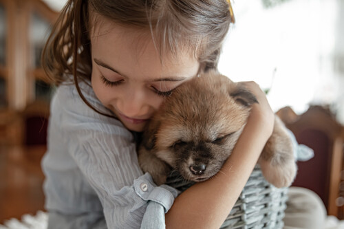 Los juzgados de menores implementan un programa con perros de acompañamiento para reducir el estrés de los niños 