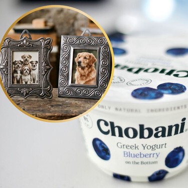 Así puedes reutilizar las tapas metálicas del yogur para decorar tu casa: haz mini cuadros para tus fotos 
