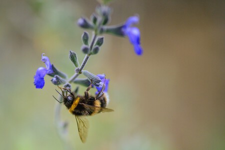 Pexels Katlovessteve 32674040