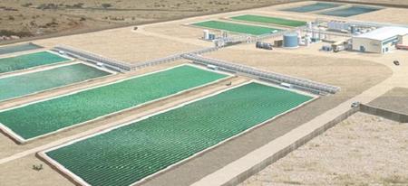 Campos de producción de biocombustible