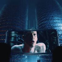 Una empresa americana quiere que veas 'Matrix' como si estuvieras dentro de la simulación. Así es su particular cine inmersivo