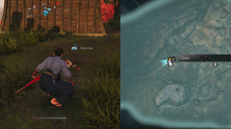 Gato Ishikawa Calico