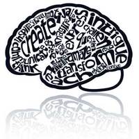 ¿Inmigración cualificada? ¿O fuga de cerebros?