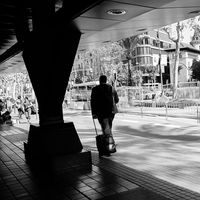 ¿En qué sectores hay más empleo en España?