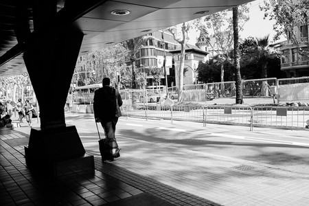 ¿En qué sectores hay más empleo en España?