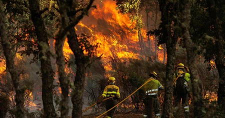 Incendios Forestales