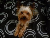 El valor del esfuerzo