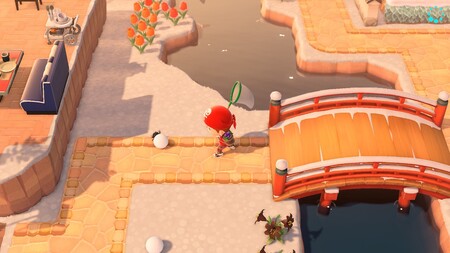 Animal Crossing: New Horizons: cómo capturar al escarabajo pelotero