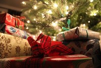 Ideas para regalar: la selección de Rizoma