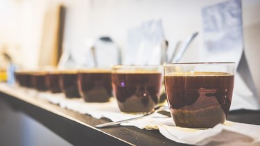 Cafetero a tus cafeterías, los mejores sitios para tomar un buen café