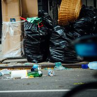 Parece Brasil: Lisboa quer cancelar programa de reciclagem porque as pessoas estão revirando lixo em busca de garrafas 