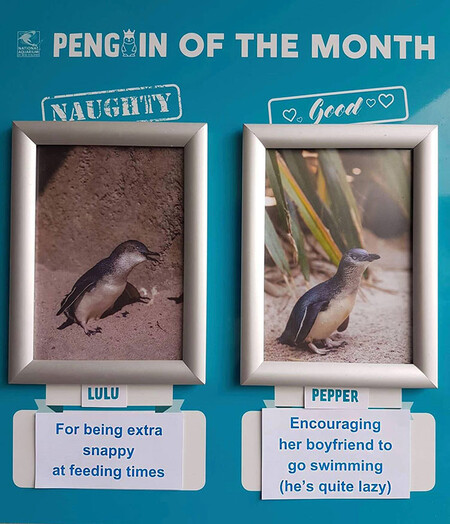 Lulu y Pepper
