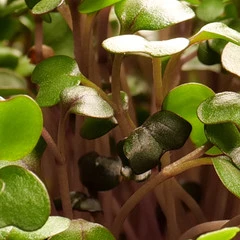 Foto 23 de 34 de la galería muestras-panasonic-s1r-y-s1 en Xataka Foto