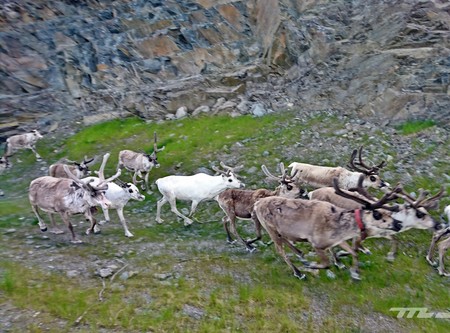 Honda Adventure Roads 2017 Nordkapp X2