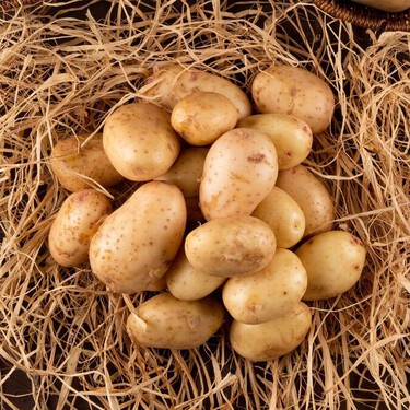 ¿Las papas con raíces se pueden comer? Aquí te lo decimos y te damos un truco para evitar que broten