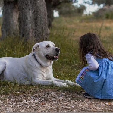 ¿Sabes qué raza de perro encaja mejor con tu familia?