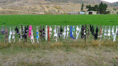 Bra Fence