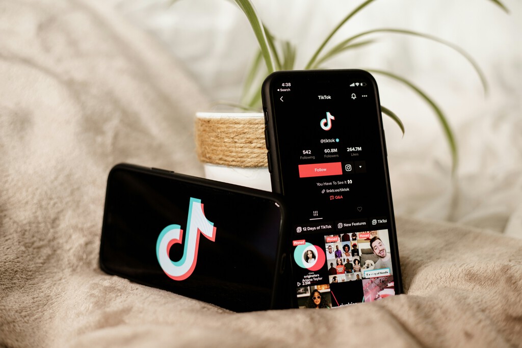 TikTok Is on the Verge of Disappearing in the U.S After a Federal Court Denies Plea to Delay the Ban 