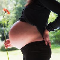 Semana 35 de embarazo: tu útero ha aumentado unas 15 veces su tamaño original