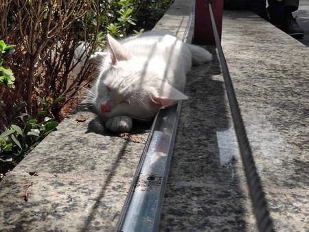 Xiaomi Mi Mix 2s Dia 