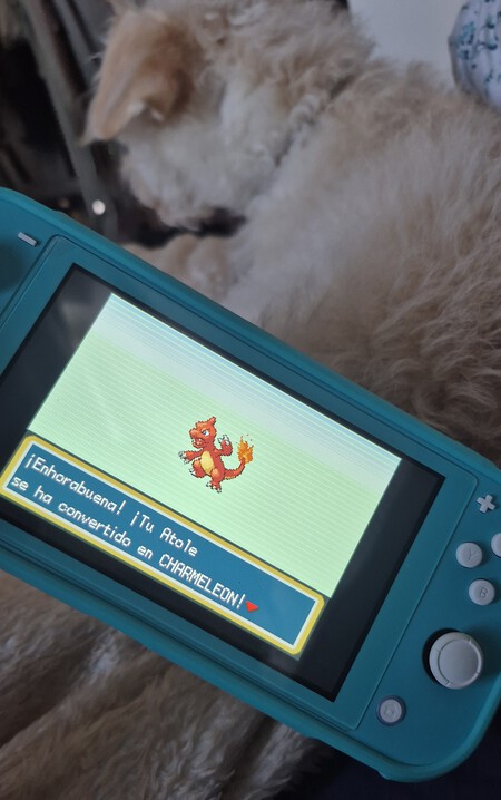 Switch Lite