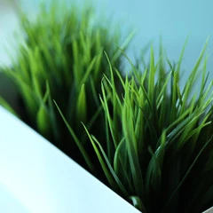 Foto 3 de 6 de la galería galeria-muestras-canon-eos-90d-y-eos-m6-mark-ii en Xataka Foto