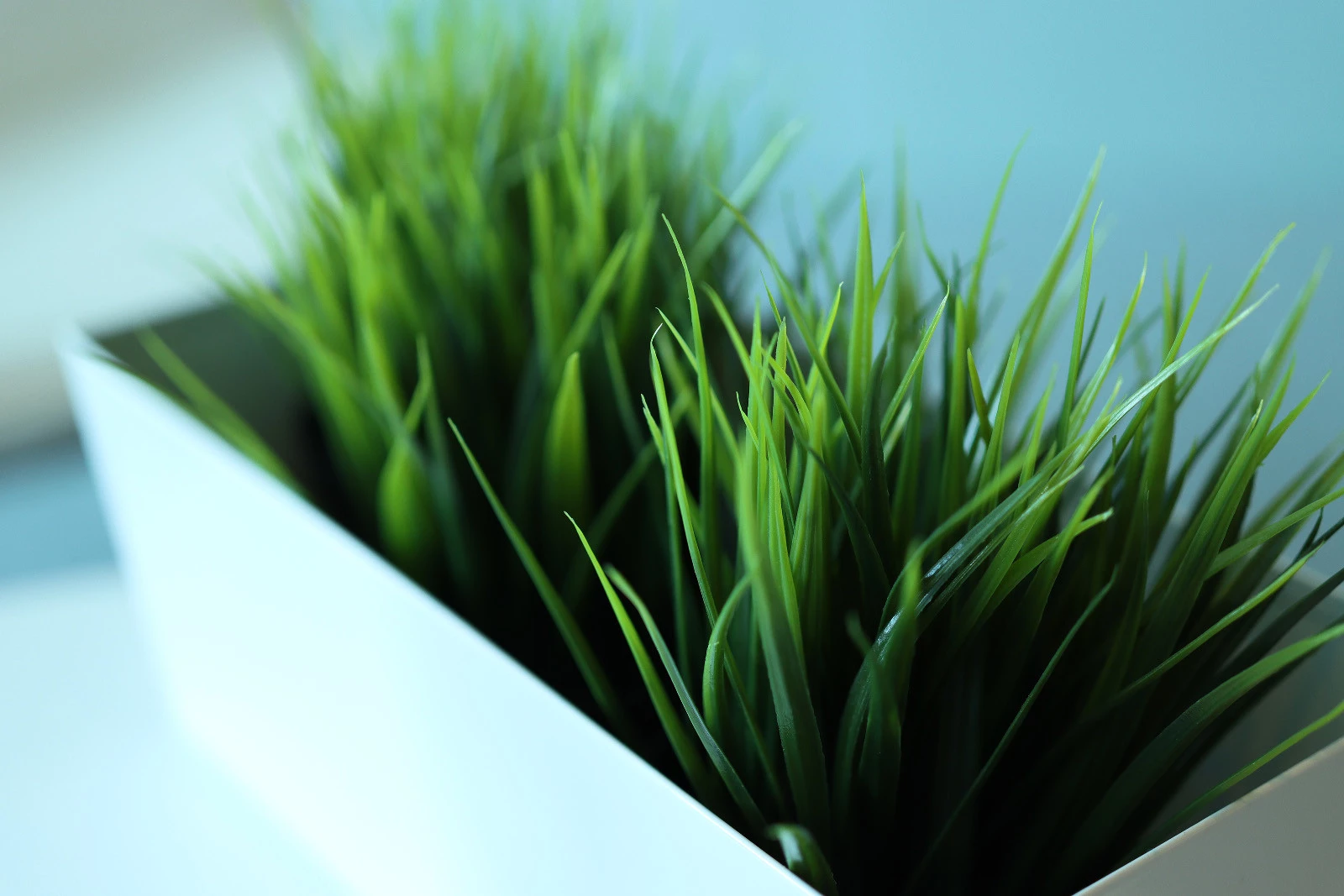 Galería muestras Canon EOS 90D y EOS M6 Mark II