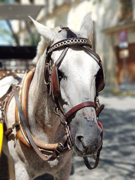 Samsung Galaxy Note 8