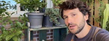 Ignacio Guío, experto en plantas: "En octubre hay que cambiar algunas plantas de sitio, sobre todo si la temperatura mínima baja de 15 ºC, pero hay que hacerlo poco a poco" 