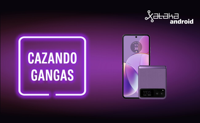 Cazando Gangas Xta