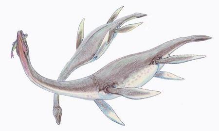 Se descubre un nuevo fósil de un plesiosauro